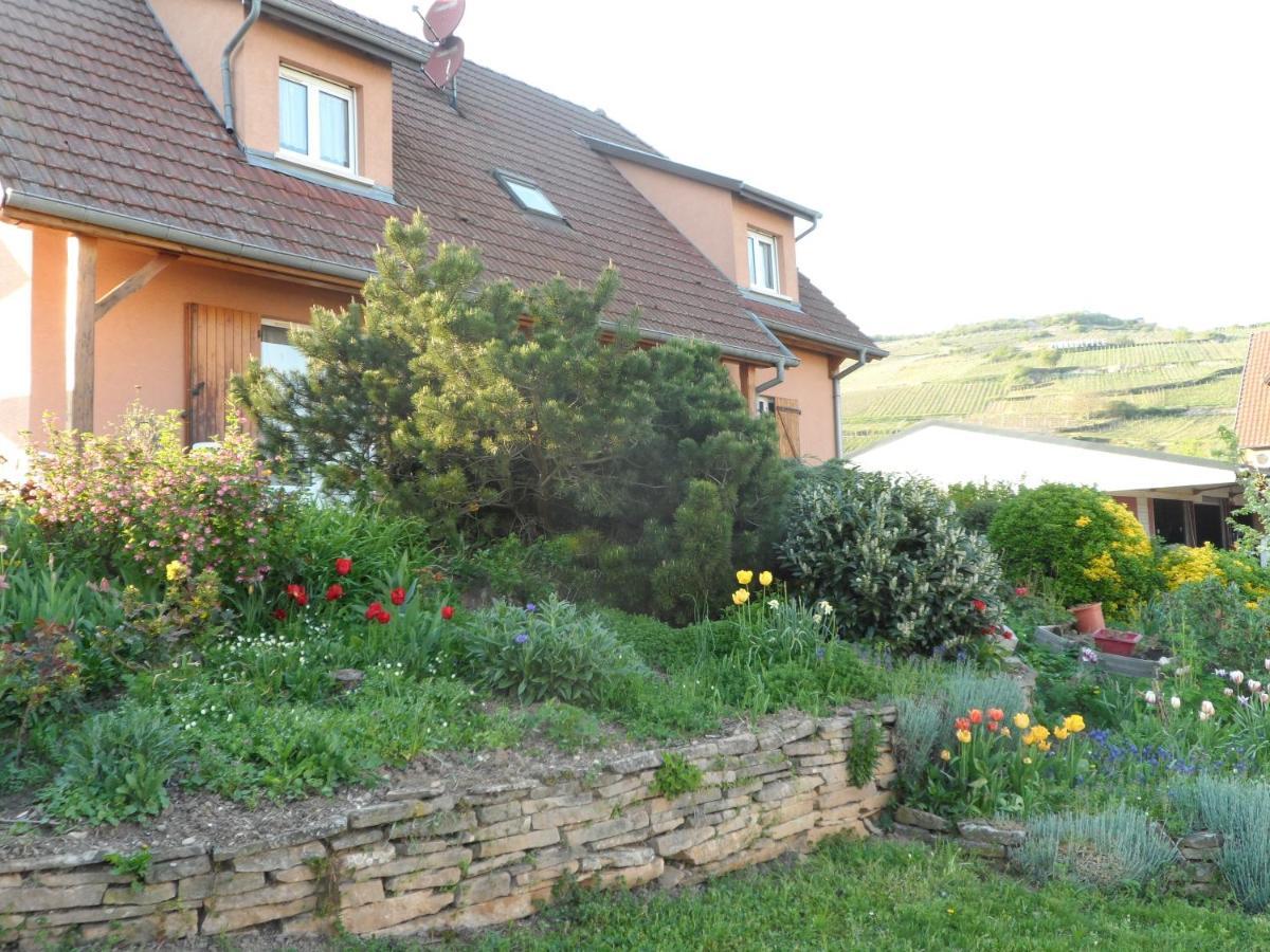 Chez Le Vigneron Apartment Westhalten Exterior foto